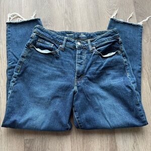 Old navy hi rise curvy OG straight secret slim pockets jeans